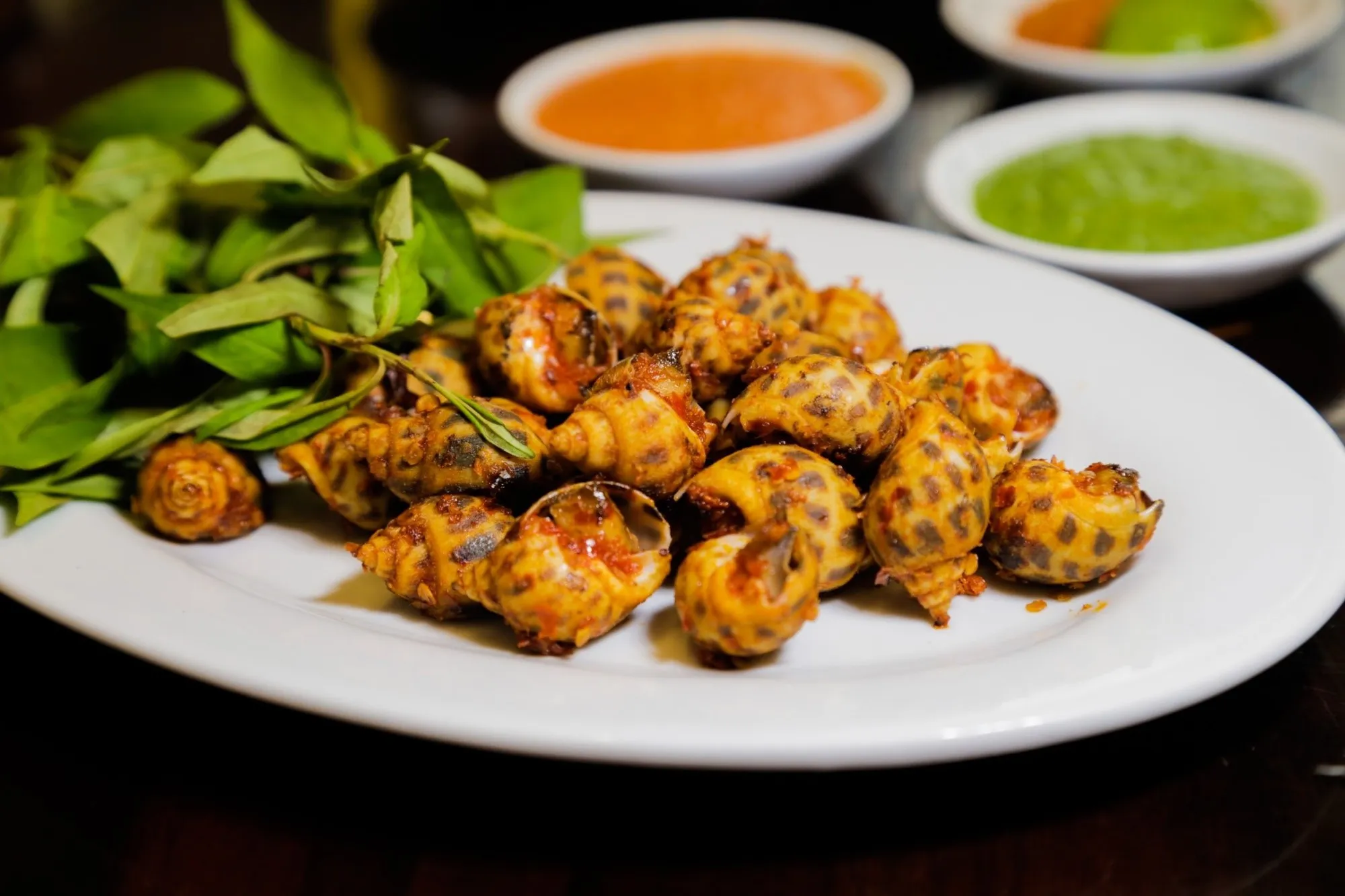 Day Tour | Da Nang Seafood Culinary Discovery